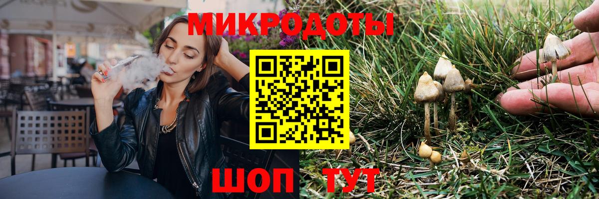 Галлюциногенные грибы MAGIC MUSHROOMS  Псилоцибиновые грибы Psilocybe  Курчалой  Вход с VPN 